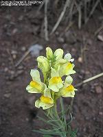 IMG_2054
