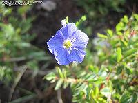 IMG_2059