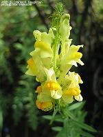 IMG_2069