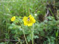 IMG_2071