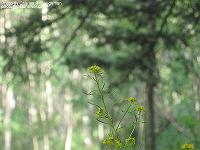 IMG_2080