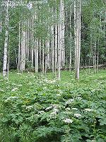 IMG_2085