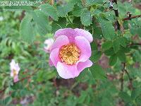 IMG_2095 
