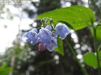 IMG_2104 