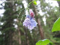 IMG_2105 