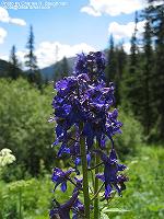 IMG_2230