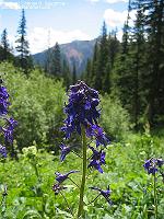 IMG_2231