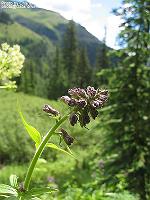 IMG_2232