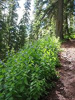 IMG_2235