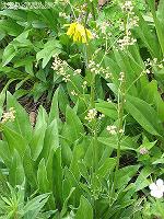 IMG_2256 
