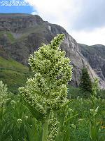 IMG_2267 