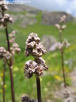 IMG_2280