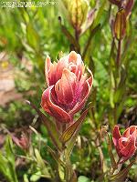 IMG_2281